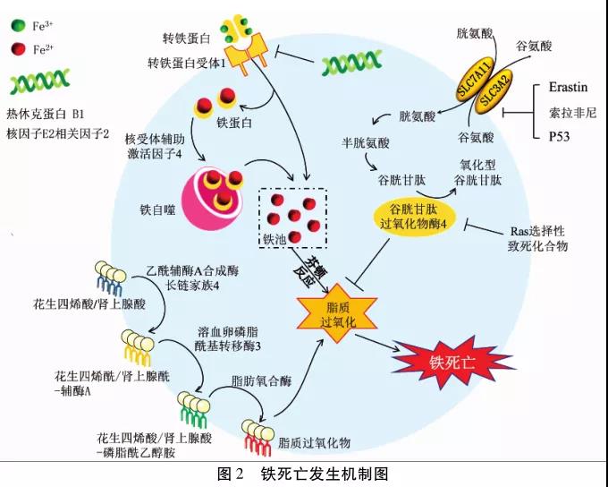 微信图片_20210702204915.jpg