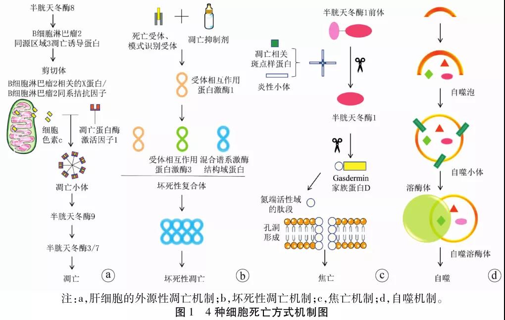 微信图片_20210702204909.jpg