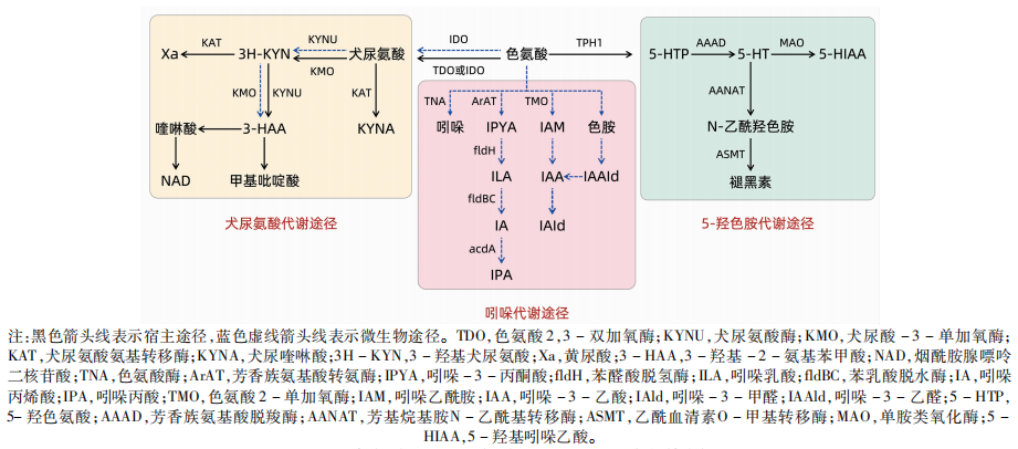 图 1.png