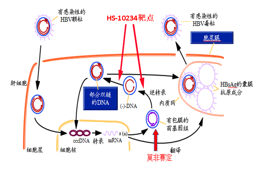 微信图片_20201217171153.png