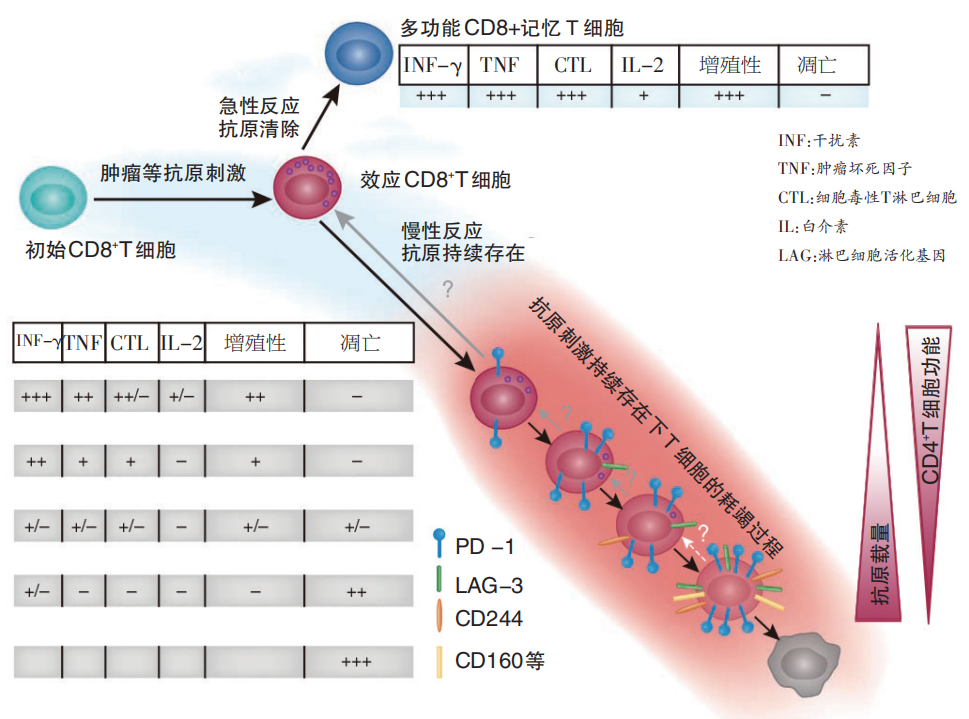 微信图片_20210107201256.png
