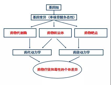 微信图片_20211129183102.jpg