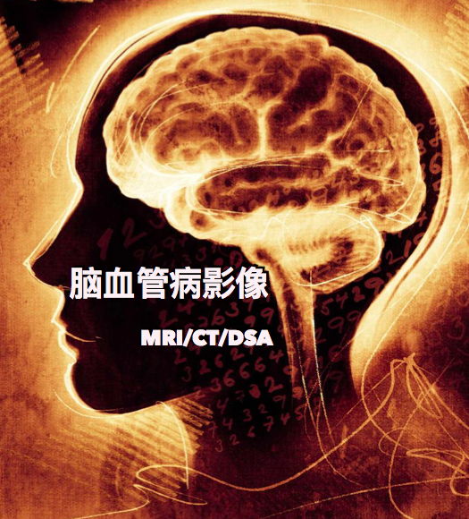 屏幕快照 2018-05-22 下午3.27.43.png