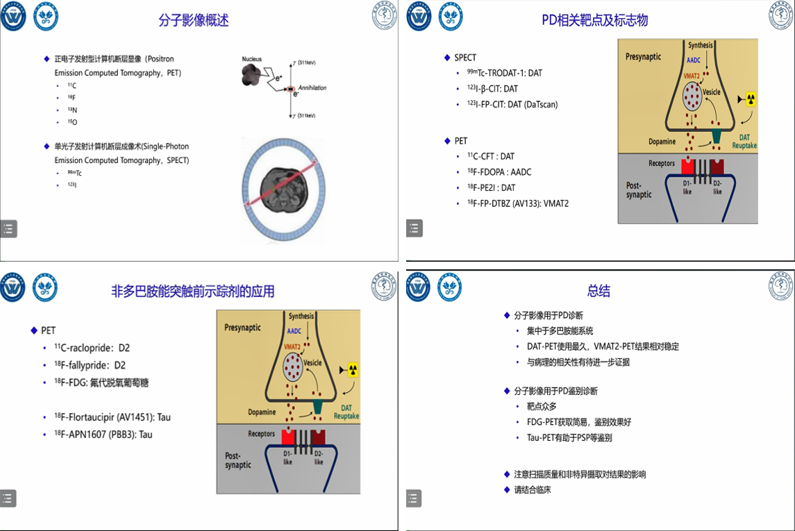 刘疏影图片.png